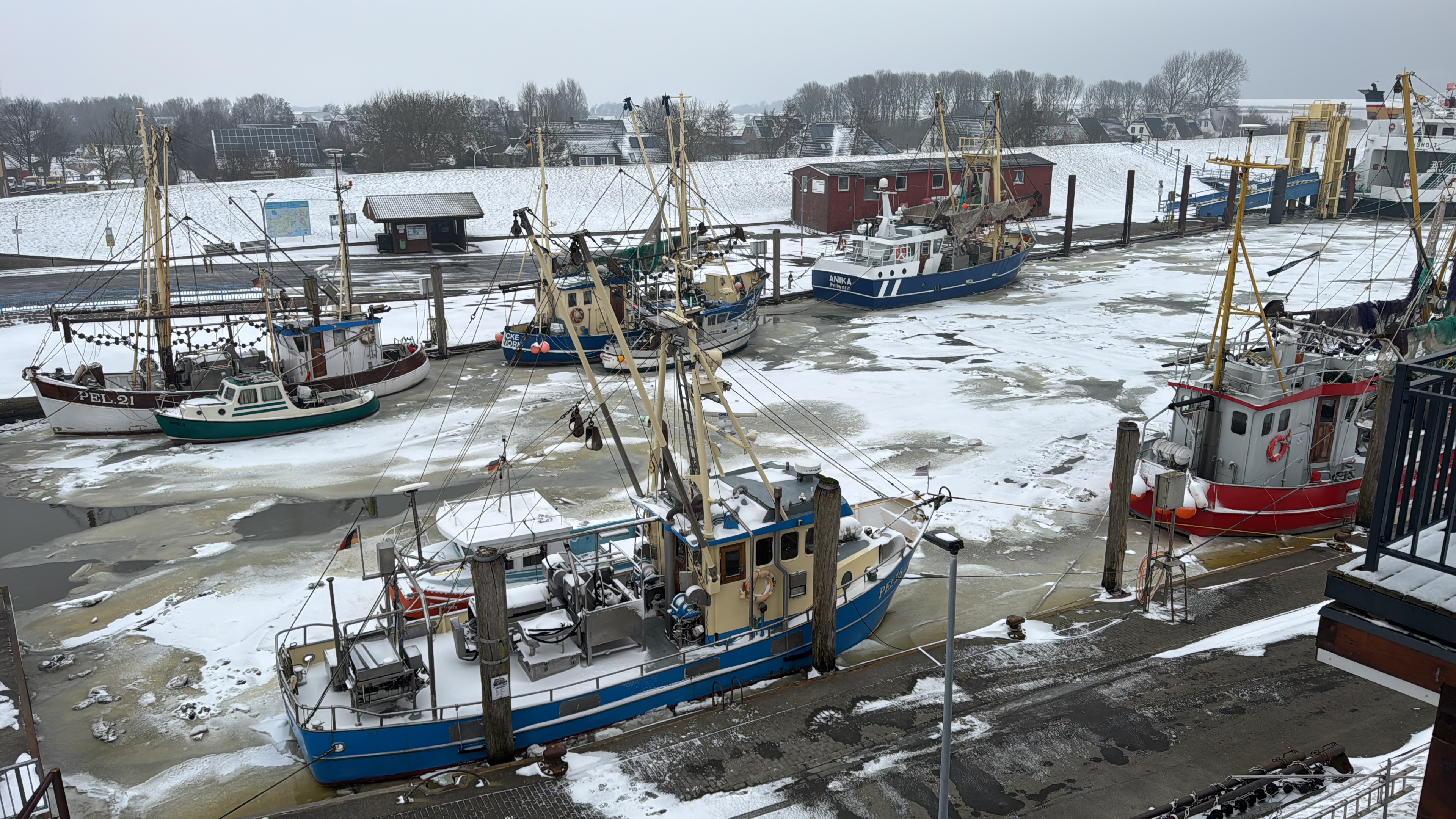 Alter Hafen von Tammensiel im Winter